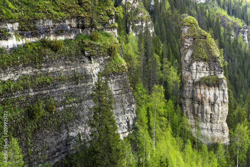 Fotografie, Obraz landscape with sheer cliffs amid the forest without sky (rock Devil's finger on