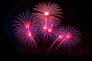 firework Abstract background,Fireworks light up the sky with dazzling display