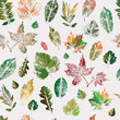 Leaves are colored silhouettes of trees and bushes. Seamless pattern.