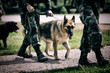 Soldier with military working dog.