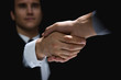 Business partners making handshake in shadow
