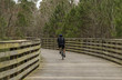 Cycling on a wooden pathway in the forest