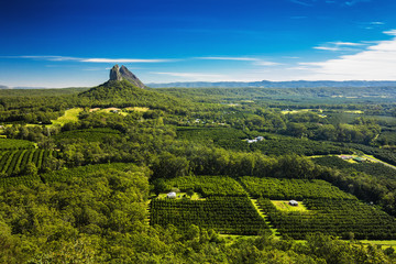 Wall Mural - View from the summit of Mount Ngungun, Glass House Mountains, Su