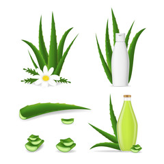 Wall Mural - Realistic Detailed 3d Aloe Vera Product Set. Vector