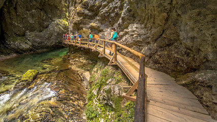 Poster - Soteska vintgar gorge boardwalk along river