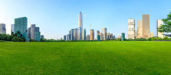 Green grass and modern city skyline scenery in Shenzhen