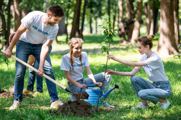 Wall Mural - friends with shovel and watering can planting new trees in park