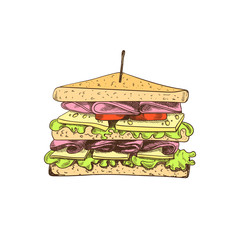 Wall Mural - Vector Colored Sandwich Drawing, Isolated on White Background Colorful Food Sketch.
