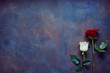 Two roses lie on a stone slab