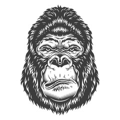 Wall Mural - head of gorilla