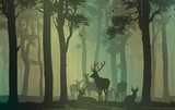 Fototapeta Konie - natural background with forest silhouette with herd of deer