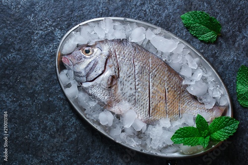 Fotografie, Obraz Fresh raw fish Porgy still life overhead view