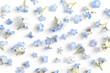 Flowers forget-me-not close-up, top view, flat lay. natural floral background, macro photo.