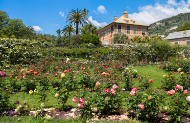 GENOA (GENOVA), ITALY, MAY 18, 2018 - The rose garden 