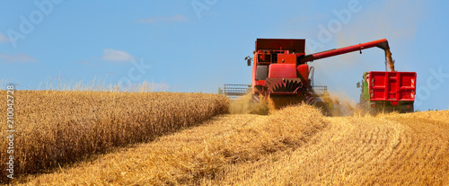 Stampa su Tela  Agriculture en France