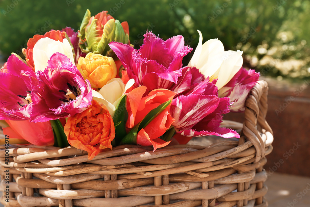 Wicker basket with beautiful tulips outdoors