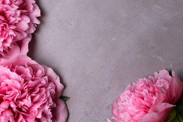 beautiful fresh peonies on wooden surface. Floral frame with pink peonies on grey background