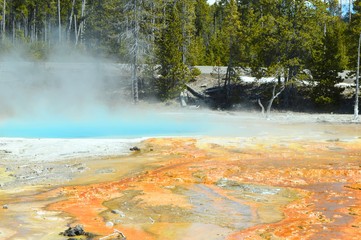 Wall Mural - Thermal Feature Smoke