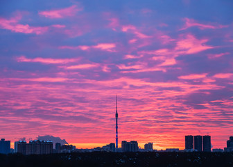 Canvas Print - blue and pink sunrise over Moscow city