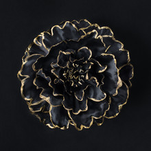 Black Flower With Gold Edge
