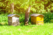 © Bonsales - Hive number one and hive number two under the tree.