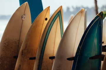 set of different color surf boards in a stack by ocean.weligama, sri lanka. surf boards on sandy wel