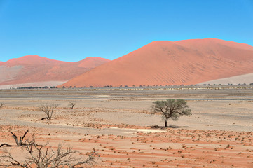 Wall Mural - Desert Sand Dunes in Southern Namibia taken in January 2018