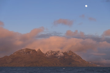 Wall Mural - Sunrise at Jason Bay, South Georgia Island, Antarctic