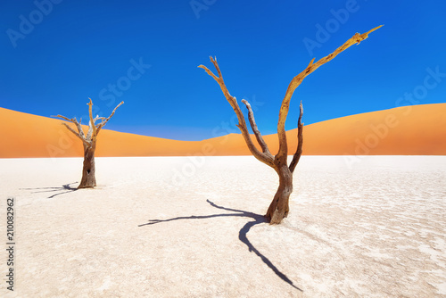 dead-vlei-w-parku-narodowym-naukluft-w-namibii-wykonane-w-styczniu-2018-r