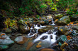 Rocky, smooth Flowing Sanborn Creek in Santa Cruz Mountains, California