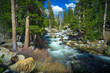 Smooth Flowing Tuolomne River and Mountain Forest - Yosemite National Park