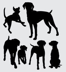 Wall Mural - Viszla dog animal silhouette