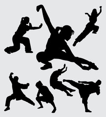 Wall Mural - Kungfu martial art silhouette