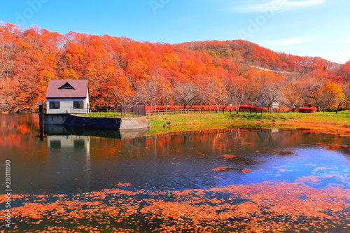紅葉の長老湖 Buy This Stock Photo And Explore Similar Images At Adobe Stock Adobe Stock 紅葉の長老湖 Buy This Stock Photo And Explore Similar Images At Adobe Stock Adobe Stock