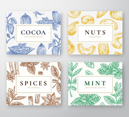 Wall Mural - hand drawn cocoa beans, mint, nuts and spices cards set. abstract vector sketch backgrounds collecti