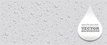 Water Drops On Grey Background And Place For Your Text