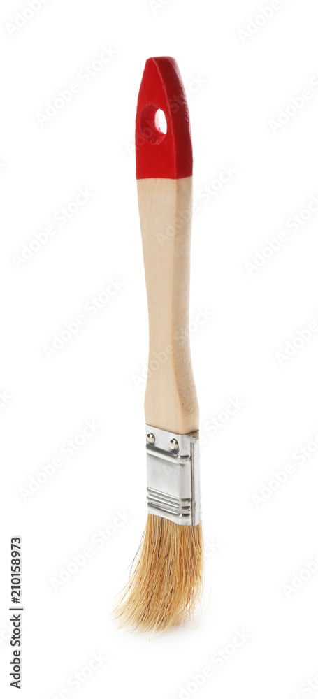 Brush for painting on white background