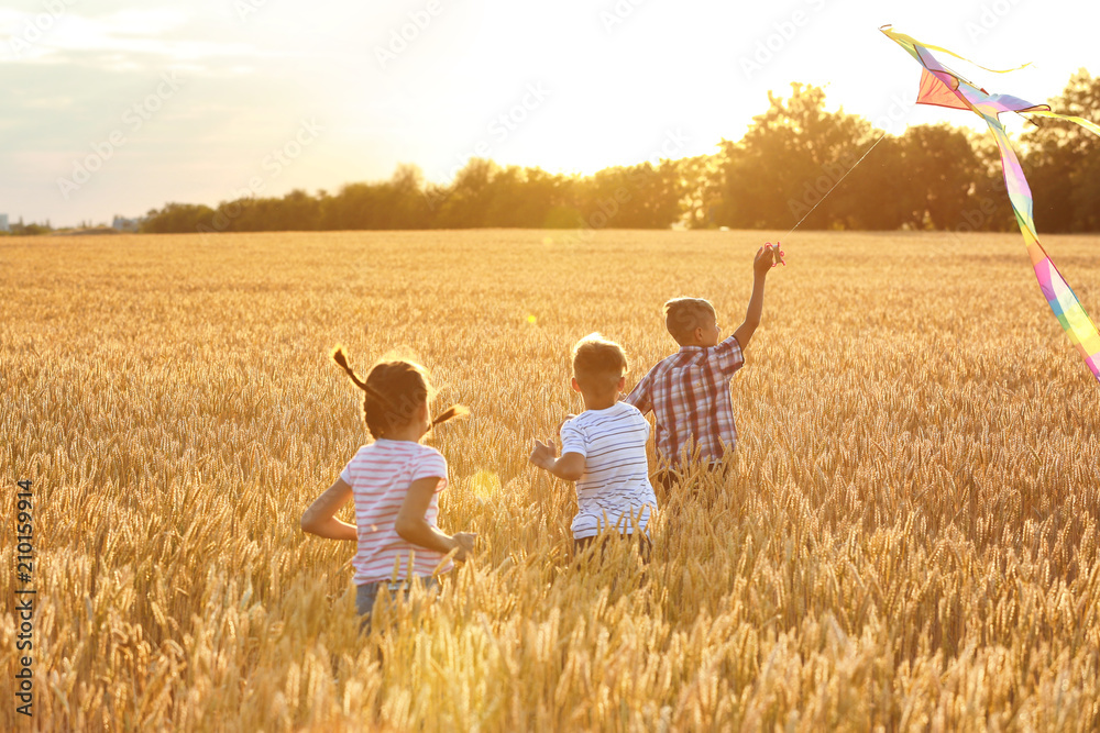 Cute little children with kite in field