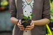 © ADDICTIVE STOCK - Woman holding pot with green plant
