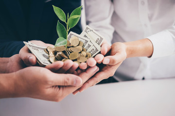 Hands of business team holding plant sprouting growing from golden coins and banknotes, business investment and strategy concept