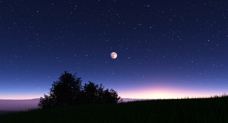 Wall Mural - night landscape with stars and the full moon