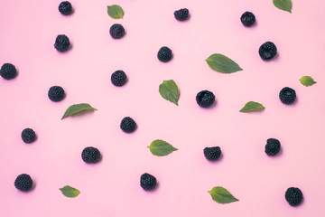 Wall Mural - Exotic berry black raspberries on a pink background with green leaves.