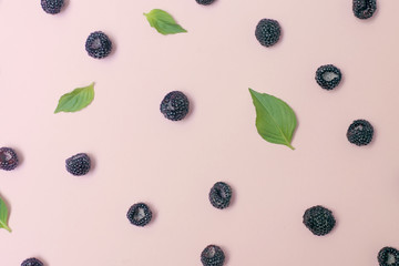 Wall Mural - .Peach background with black raspberry green leaves.