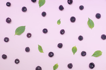 Wall Mural - .Black summer berry on a pink tinted background.