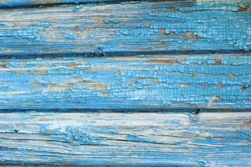 Old blue paint on the texture of wooden boards on the wall surface