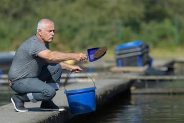 Wall Mural - Man feeding commercially reared fish