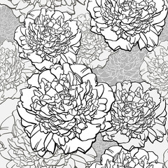 Wall Mural - Peonies. T-shirt design. Sketched flower print in monochrome colors - seamless background. Hand-drawn vector illustration.