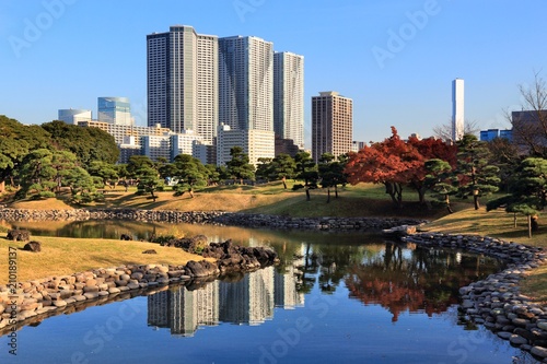 Zdjęcie XXL Tokio jesień park