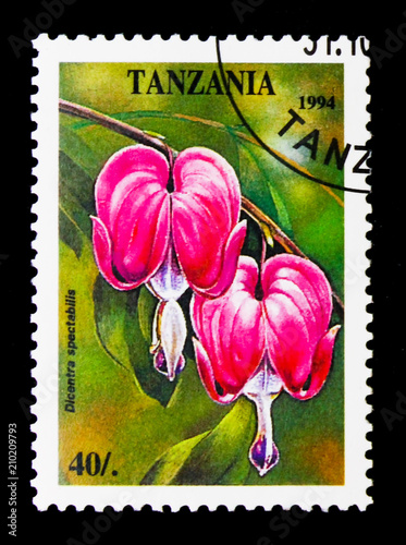Poster Dicentra spectabilis, Tropical Flowers serie, circa 1994