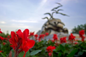 Wall Mural - Canna Lily Closeup At Navy-Merchant Marine Memorial